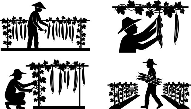 Agriculture icons collection showing farmers tending to vegetable trellises harvesting luffa gourd crops and working on organic farm fields vector illustrations.
