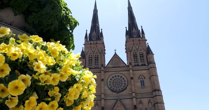 Beautiful Gothic style facade of St Mary's Cathedral, Sydney, New South Wales, Australia.