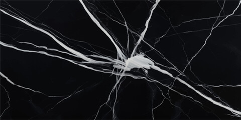 A striking black and white 3D illustration featuring an electric human brain x-ray surrounded by fractal lightning patterns and flowing energy lines against a dark textured background © Alpha Designs