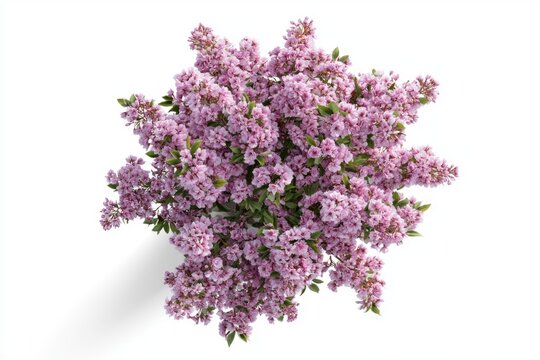 A vibrant bouquet of lilac flowers with dense clusters of tiny purple blossoms and green leaves, viewed from above against a white background.