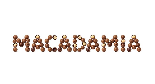 Word macadamia spelled with macadamia nuts isolated on white background