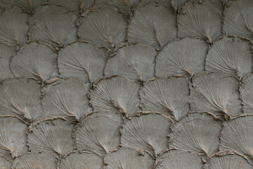 A plaster wall surface that imitates a fish scale pattern (Dirty plaster wall treatment) © Sanpatch Chindathong