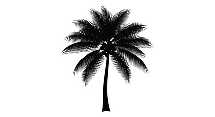 Palm tree silhouette against a white background tropical vegetation design © Azmira