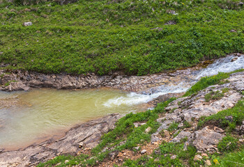 Fototapeta premium Alpine meadows with flowers and green vegetation in summer, walks to the sources of the mountain river
