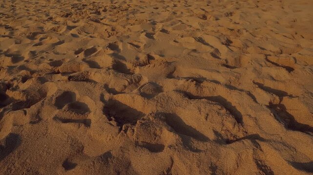 A detailed low-angle view of multiple human footprints pressed into soft, golden beach sand, capturing the texture and depth of the terrain in warm natural sunlight.