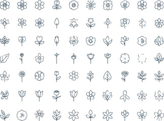 Obraz premium Nature botanical graphic element collection isolated on white backdrop featuring green hand drawn leaf centerpiece surrounded by delicate thin line flowers
