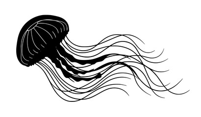 Elegant Floating Jellyfish Vector Illustration with Flowing Tentacles Underwater Marine Life Design © HoriProshad