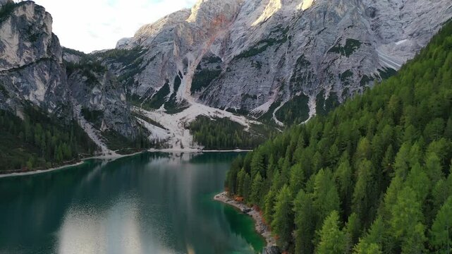 Stunning high-angle aerial drone shot of the emerald Lago di Braies lake in the Italian Dolomites. Features a thick green pine forest lining the water with the massive Croda del Becco peak above.