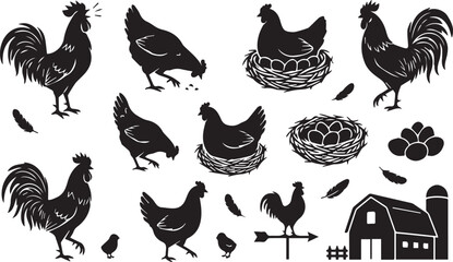 Black and white chickens on farm with eggs and nest and rooster © lucky