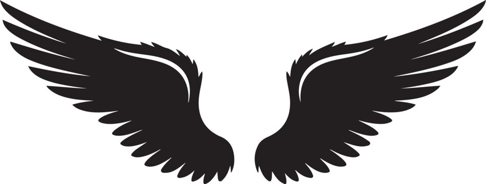 Black wings, wing icon, feathered symbol, angel wings, vector graphics