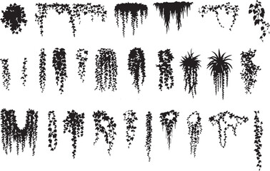 Set of Black Hanging Plant Silhouettes, Ivy Vines, and Climbing Creepers Vector Illustration Collection for Nature-Themed Graphic Design, Wall Decals, and Botanical Art Projects. © Sadek