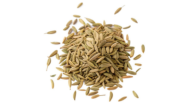 Heap pile of organic dry cumin seeds aromatic cooking spice on transparent background