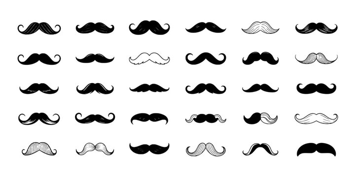 Mustaches collection with various styles and colors for design use featuring mustache, facial hair, beard with illustration and vector elements for