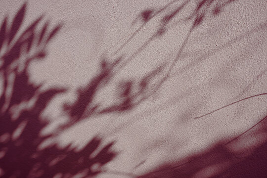 Beautiful morning sunlight casting soft leaf shadows on an outdoor house wall. Minimalist and elegant natural background, perfect for aesthetic product presentation