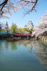 Naklejka premium Himeji Castle with Cherry Blossoms, Red Bridge and Wooden Boat on Castle Moat
