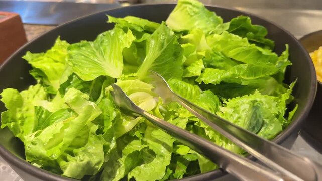 Video of fresh lettuce, corn, tomatoes and mixed vegetables in colorful healthy food display