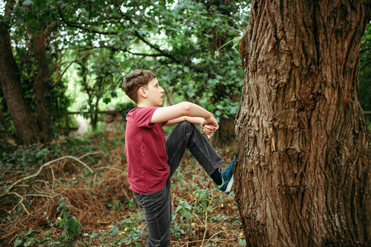Teenager boy climbing tree in woodland during outdoor adventure