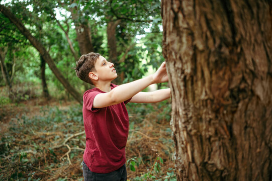 Teenager boy touching tree trunk while exploring woodland outdoors