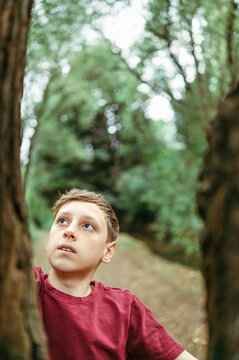 Teenager boy looking up at tree while standing in woodland