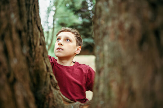 Teenager boy looking up at tree while exploring woodland outdoors