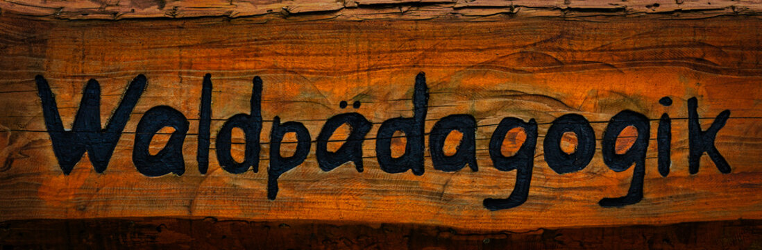 Waldp&auml;dagogik