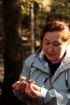 Senior woman mushroom foraging in forest during autumn with natu