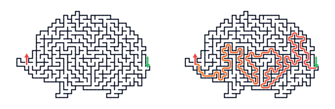 Hedgehog maze with solution path outlined in orange color  
