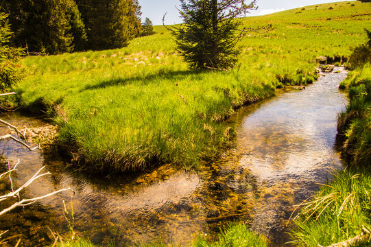 Flowing stream and grassy field under bright sky in a rural landscape