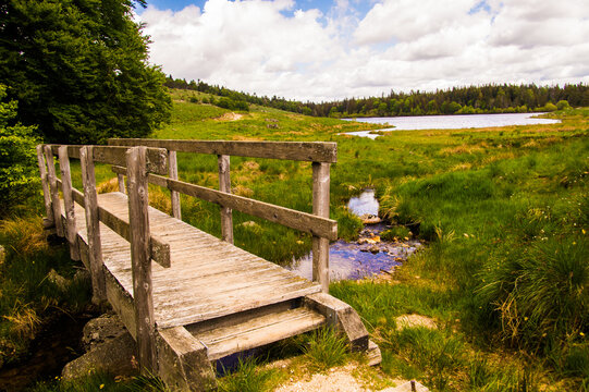 Wooden bridge crosses stream in green field near lake on a cloudy day