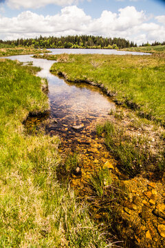 Small stream flows through green grass field with cloudy sky in the