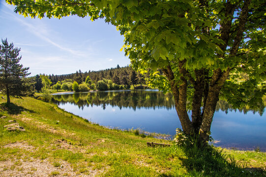 Wide view of a lake surrounded by trees on a sunny day at a natural