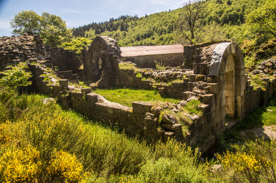 Ruins of an old building surrounded by greenery and trees in a forest