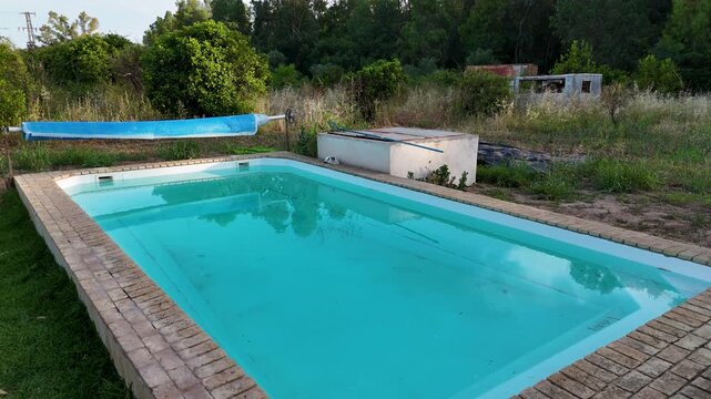 Abandoned swimming pool in a neglected garden
