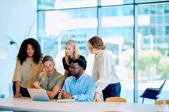 Diverse business professionals working together on a laptop, discussing strategy and planning new projects in a modern office