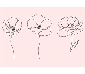 Fototapeta premium Set of line drawings of flowers with minimalist botanical design. Vector illustration of abstract flowers isolated on white background.