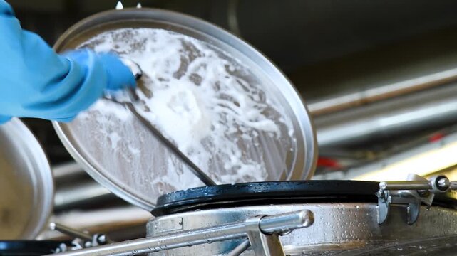 An employee takes a sample of milk for quality control and testing in an industrial or laboratory environment in a dairy or food science laboratory.