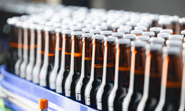 Assembly line of brown glass beer bottles in brewery factory