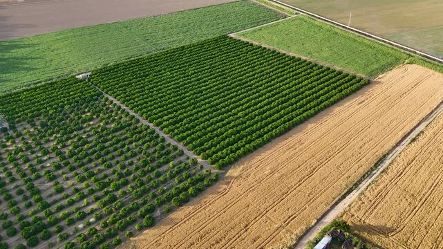 Aerial view of agricultural patchwork fields
