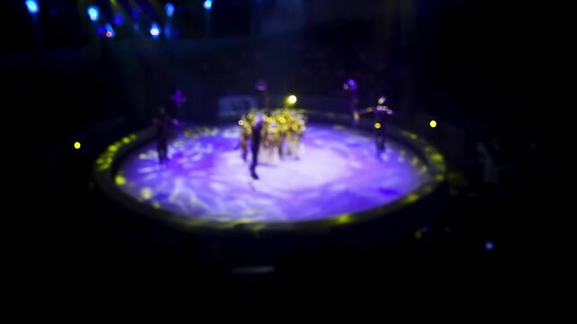 Acrobats in the circus
