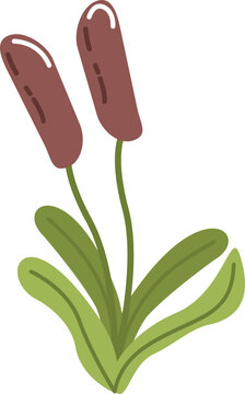 Simple natural plant vector illustration 