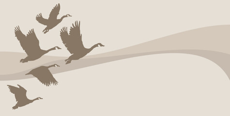 Flock of Canada Geese Flying in the Sky Vector Illustration Background © su