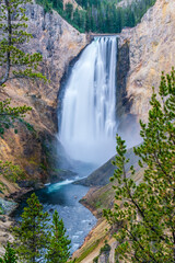 Natural landscape of Grand Canyon of the Yellowstone national park, USA © Chenxiaoyang