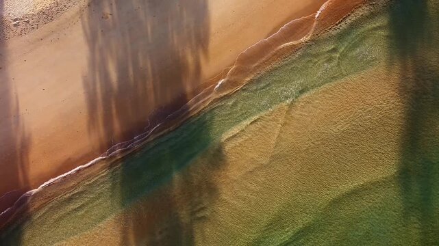 Sunlit coast meets gentle ocean. Warm sunlight bathes sandy shore with waves. Sunny beach landscape featuring calm sea waters lapping softly against shoreline with swaying palm trees. Nature theme