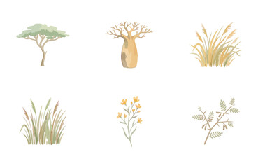 Watercolor savanna plants and trees icon set isolated on white background © Dwi