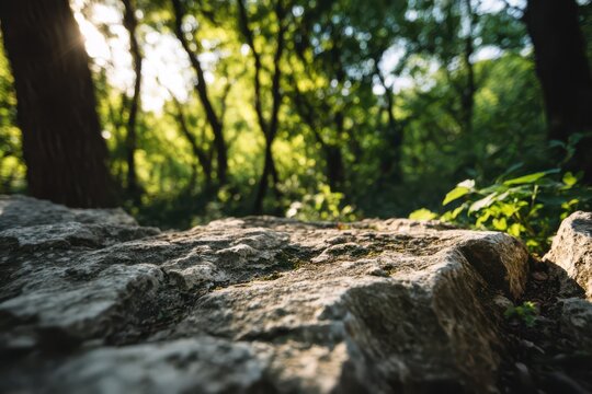 Rough stone texture in sunny forest clearing with green foliage sunlight clearing background woodland wilderness landscape environment peaceful tranquil daylight close-up formation