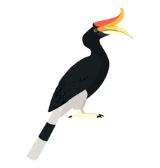 Adult Female Rhinoceros hornbill in side view flat icon © Martin
