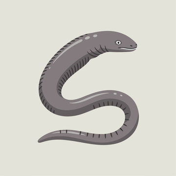 flat illustration of caecilian animal