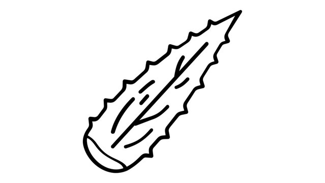 Plump spear-shaped aloe leaf with serrated margins drawn in a clean monochrome line style, ideal for natural skincare labels, herbal remedy packaging, holistic wellness branding, and botanical