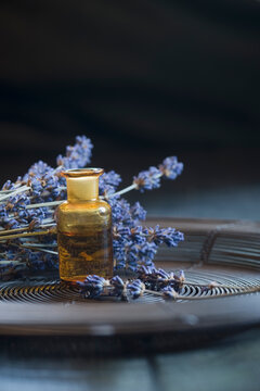 Lavender oil in a glass bottle, twigs of lavender, Lavandula angustifolia