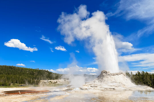 USA, Wyoming, Yellowstone National Park, Upper Geyser Basin, Castle Geysir erupting